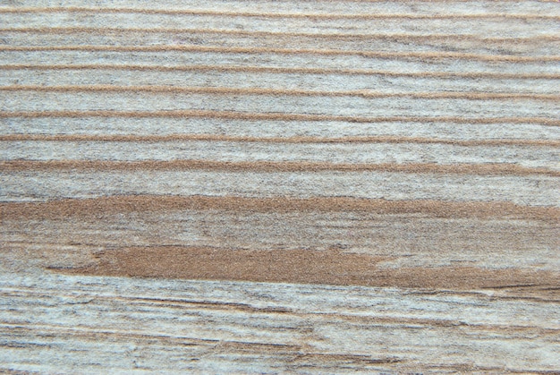 Textura de madera