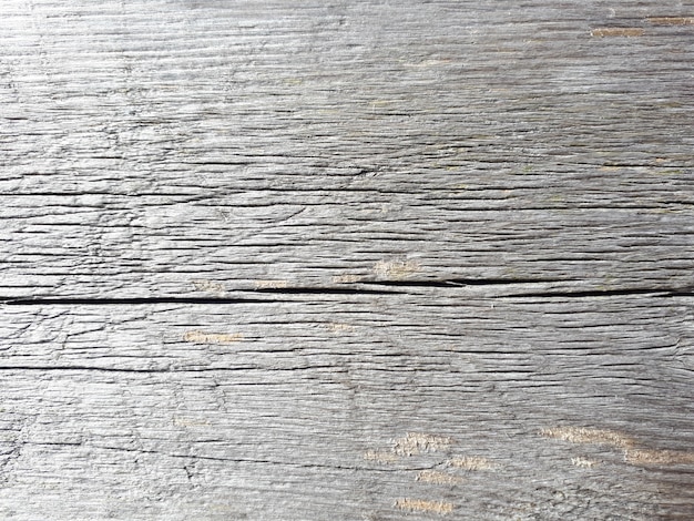 Textura de madera