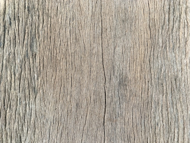 Foto textura de madera