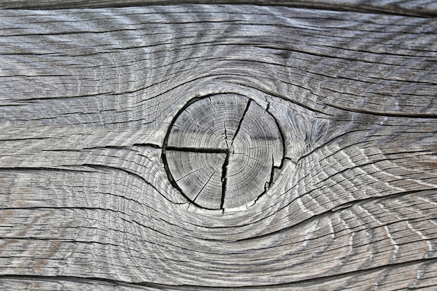 Textura de madera