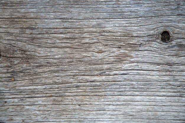 Textura de madera