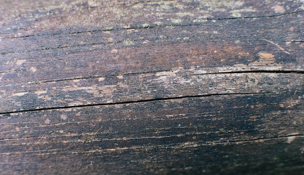 textura de madera