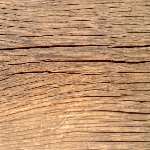 Textura de madera