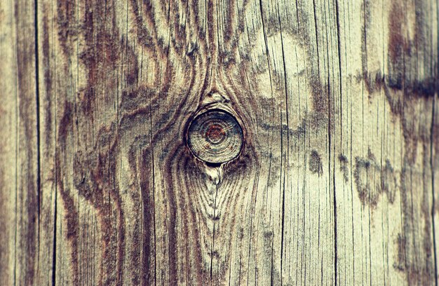 Foto textura de la madera