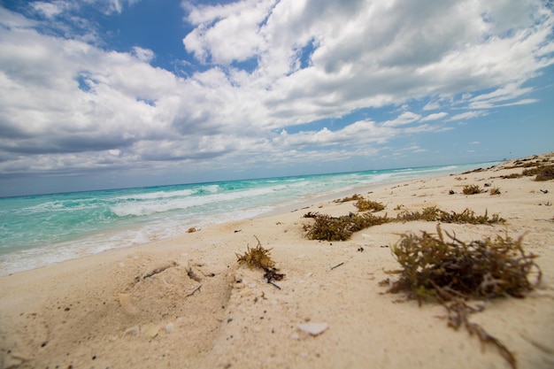 Textura de mar y arena de Cancún