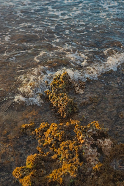 textura del mar