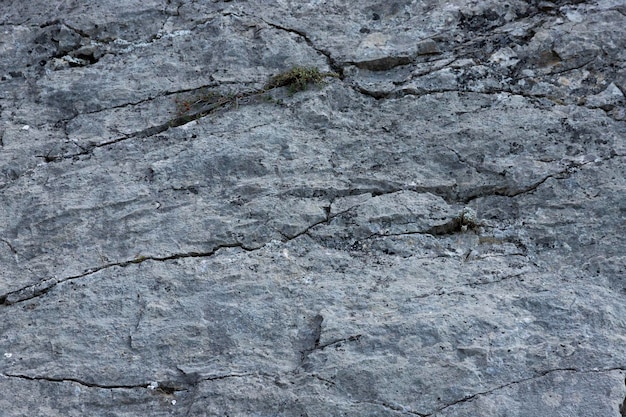 Textura monolítica de piedra caliza de mármol y patrón de roca Espacio de copia de fondo