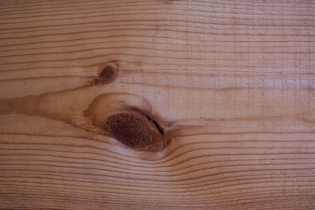 Textura de la mota de madera