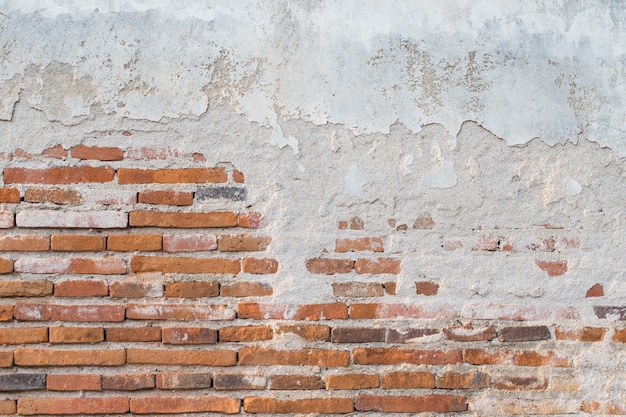 Textura de muro de hormigón blanco