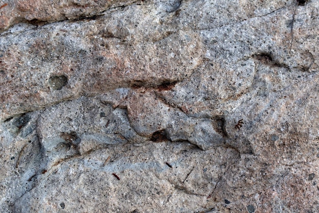 Textura natural da parede de rocha fundo Uma superfície de pedra detalhada para design rústico e orgânico