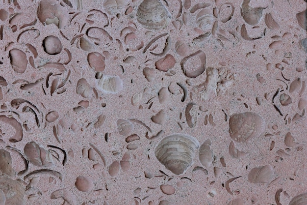 Textura natural da rocha de casca Padrão único de textura de superfície de pedra como textura de rocha de fundo