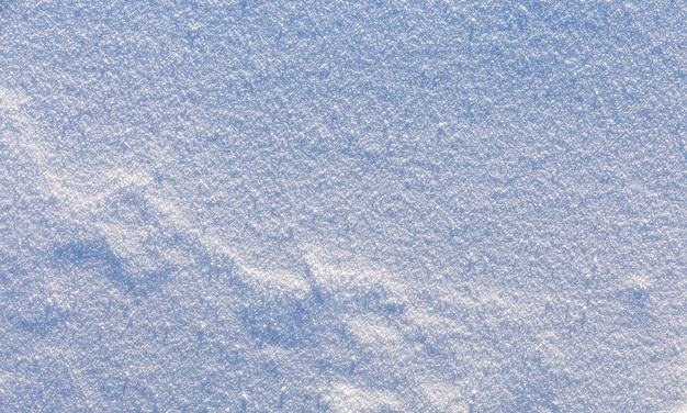 Textura de nieve blanca en fondo día escarchado