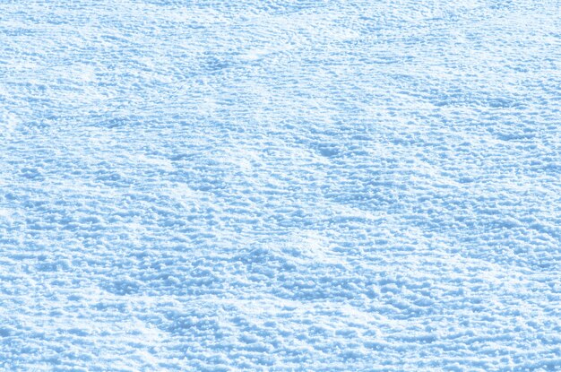 Textura de nieve blanca del país de las maravillas de invierno fresco Textura de nieve fresca