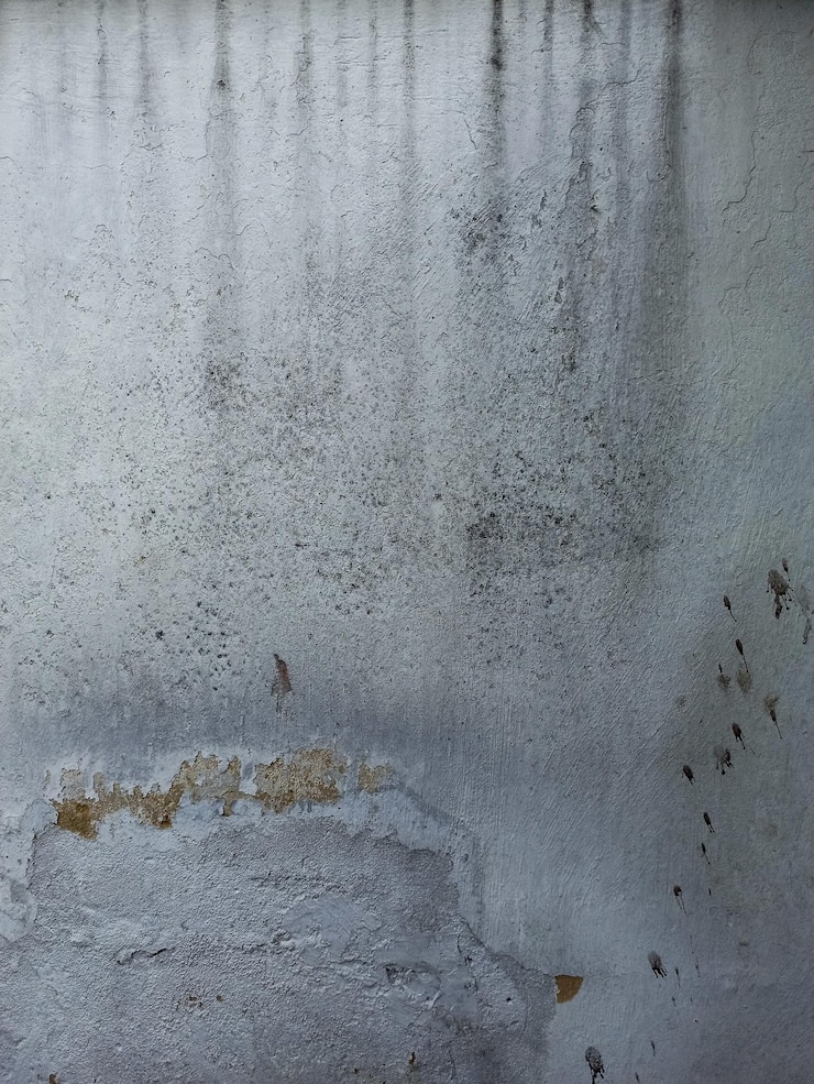 Foto textura o fondo de estuco de pared viejo pintado de blanco