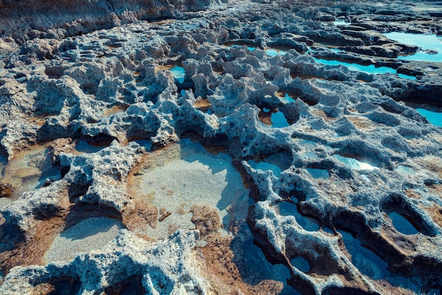 La textura de la orilla del mar pedregosa