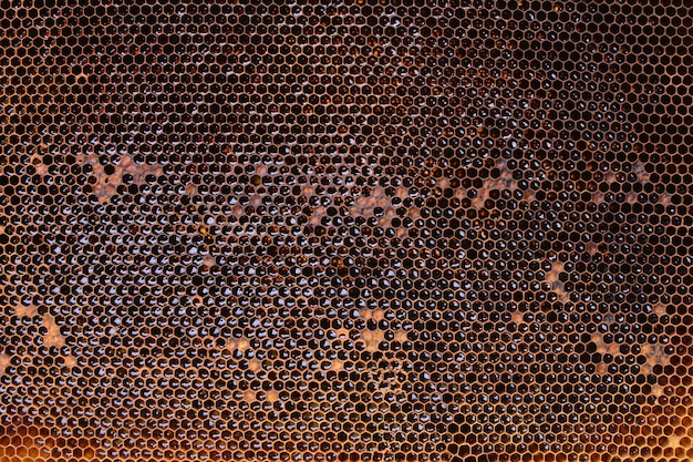 Textura de panales de abeja