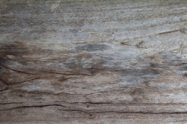 Textura del panel de madera para el fondo