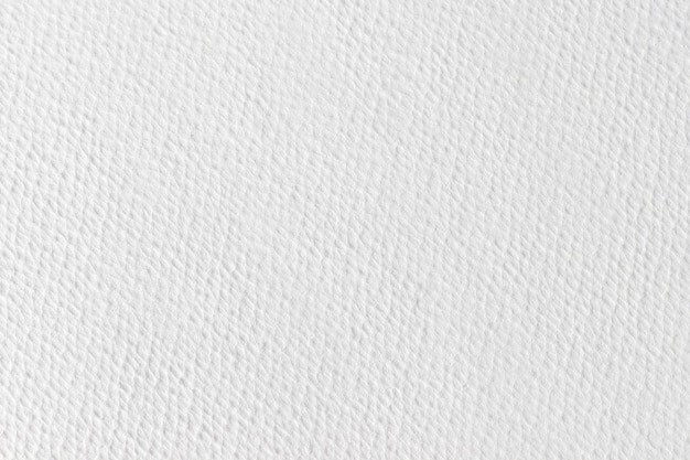 Textura de papel blanco de acuarela para el diseño