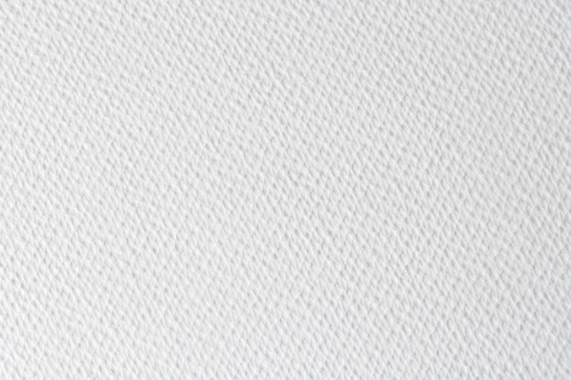 Foto textura de papel blanco de acuarela para el diseño