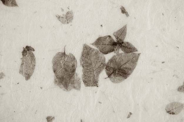 Foto textura de papel de hojas secas naturales. papel hecho a mano.