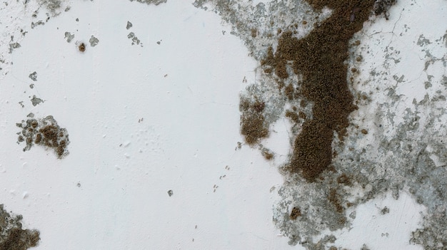 Textura de pared de cemento viejo para el fondo