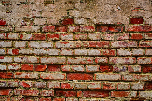 textura de la pared de edad