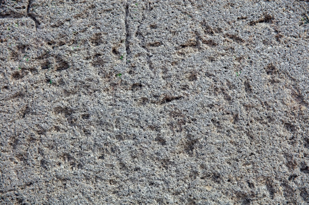 Textura de la pared granular gruesa gris