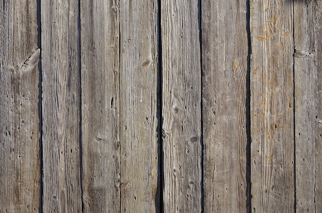 Textura de la pared de madera