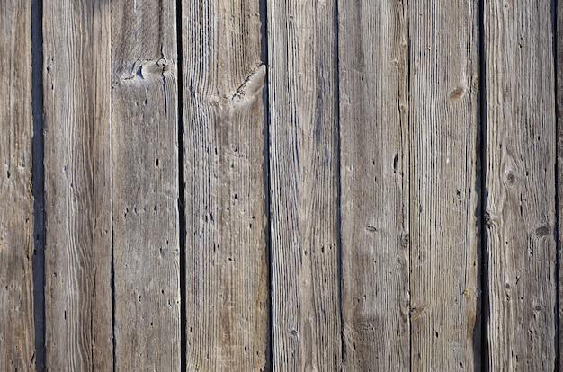 Textura de la pared de madera