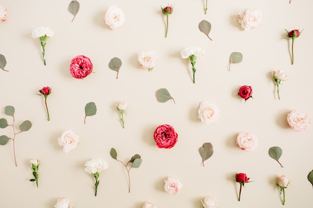 Textura de patrón de flores de rosas beige y rojas, hoja de eucalipto en beige pastel pálido