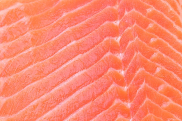 Textura peixe salmão