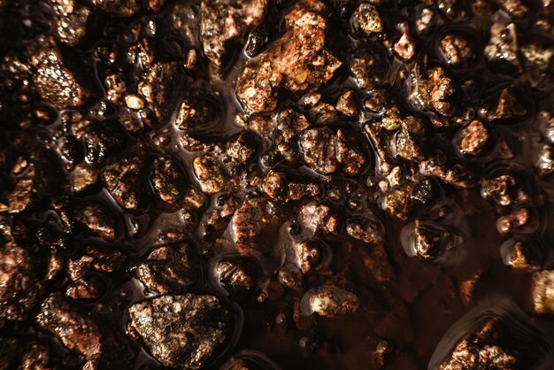 Textura de pequeñas piedras en un charco de agua luz solar natural viejo asfalto arruinado El fondo es muy detallado