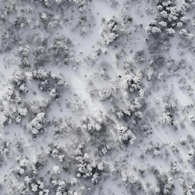 Textura perfecta del bosque de invierno