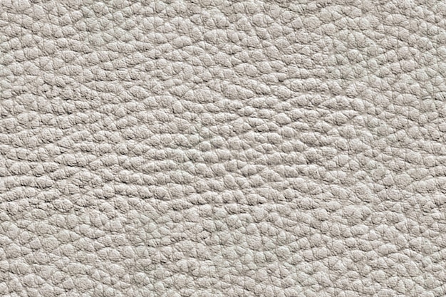 Textura perfeita do branco de couro