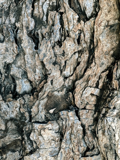 Foto textura de piedra agrietada causada por la naturaleza.