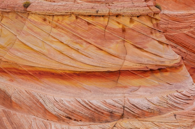 Textura de piedra arenisca natural. Patrón natural, colores CORAL. Concepto de textura natural.