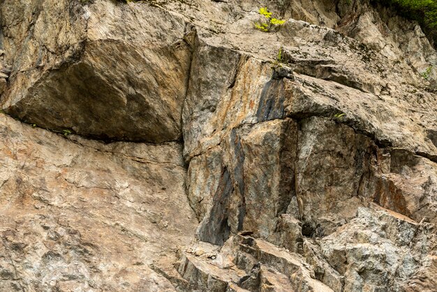 Textura de piedra - detalles.