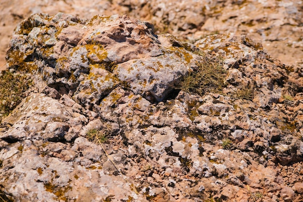 La textura de la piedra Fondo abstracto Piedras ásperas desiguales Roca mineral