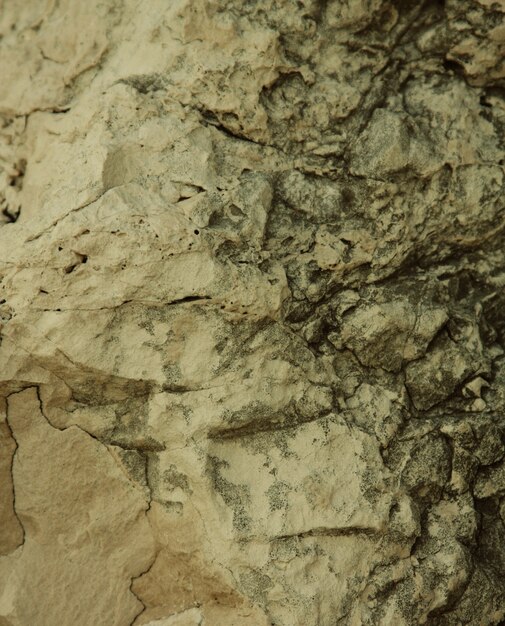 Textura de piedra, fondo de naturaleza