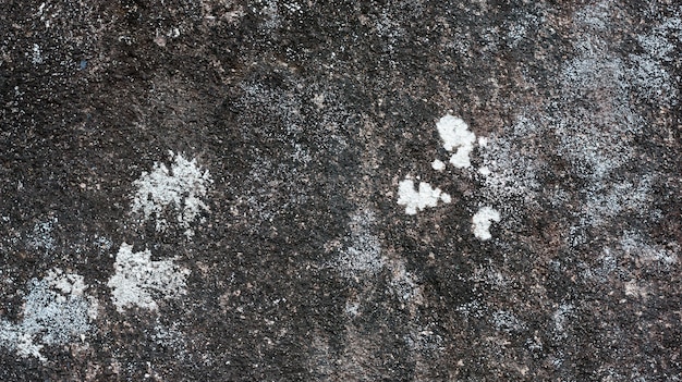 Textura de piedra para un fondo.