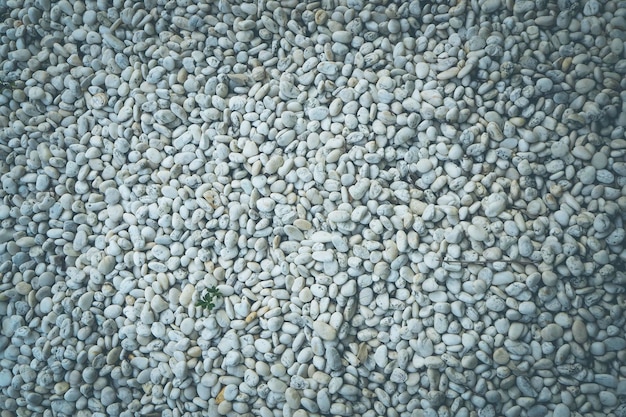 Textura de piedra de guijarros blancos en el suelo.