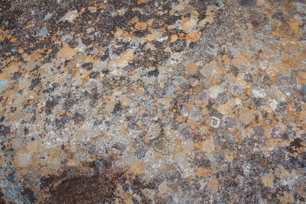 Textura de piedra natural con musgo y moho. Lugar para texto o publicidad.