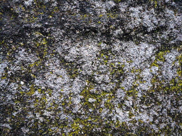 Textura de piedra vieja con musgo amarillo Fondo abstracto y textura para el diseño