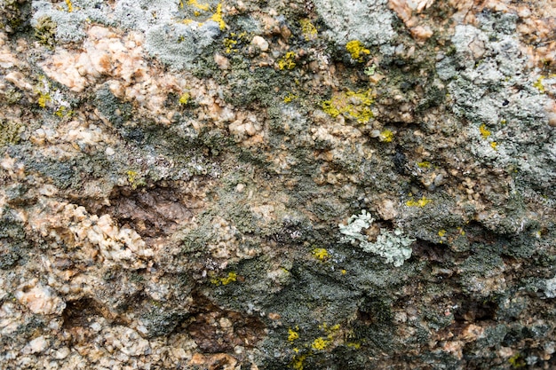 Textura de piedra