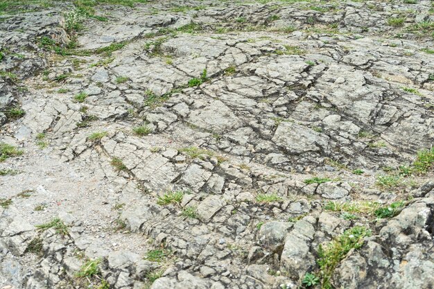 Textura de piedra