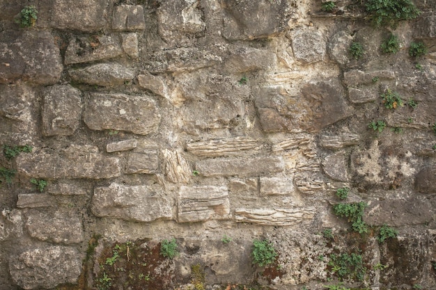 Textura de piedra