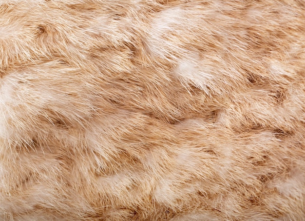 Textura de piel de animales naturales