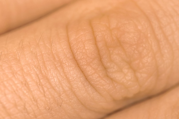 Textura de la piel de los dedos humanos. Detalle de fondo de piel sana. Persona joven, foto de concepto de salud