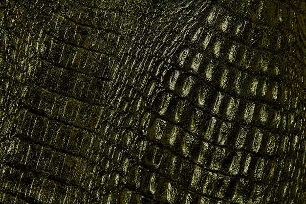 Foto textura de piel de reptil serpiente o cocodrilo