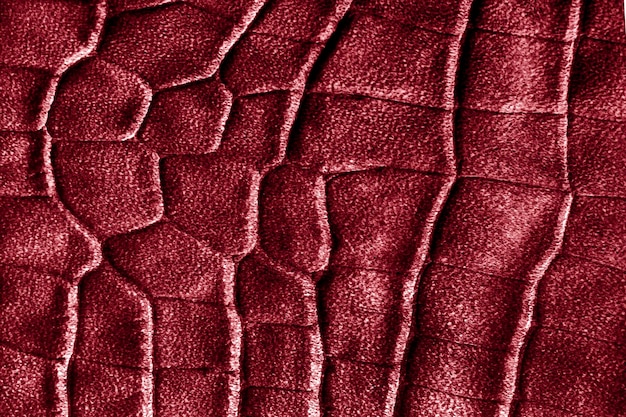Textura de piel de reptil serpiente o cocodrilo
